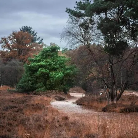 Ferienhaus Met Omheinde Tuin Op De Veluwe, Cleaning Included *