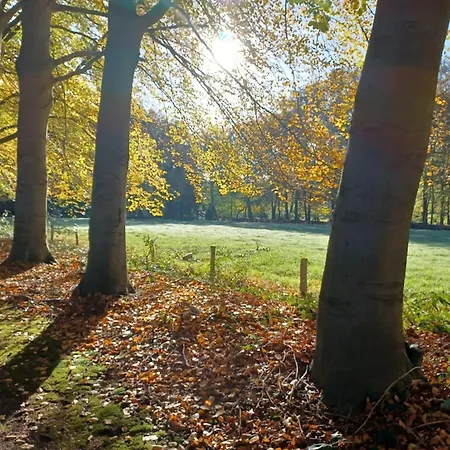 Met Omheinde Tuin Op De Veluwe, Cleaning Included Ferienhaus Hulshorst